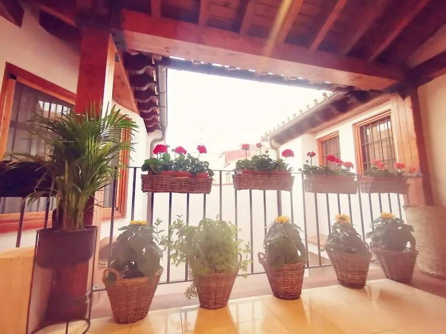 Attico Luxury Suiteマラガ スペイン